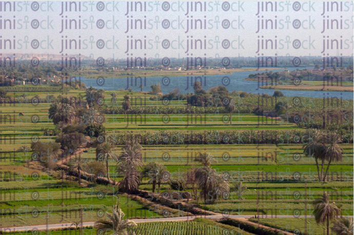 Top view for green fields in Minia- stock image