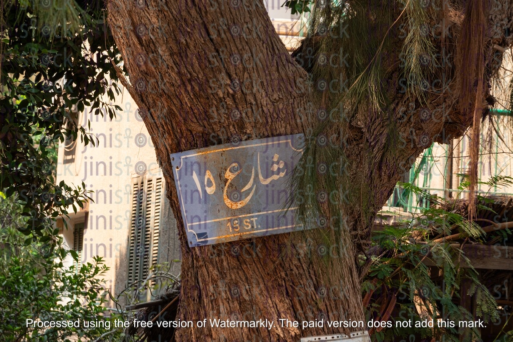 Street sign on a tree- stock image