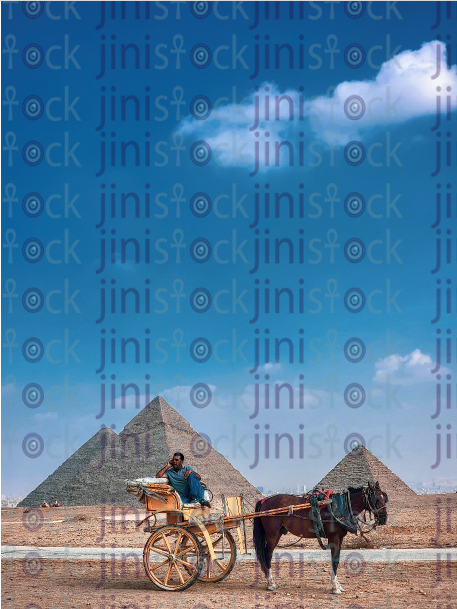 A man rides a horse carriage in front of the three pyramids - stock image