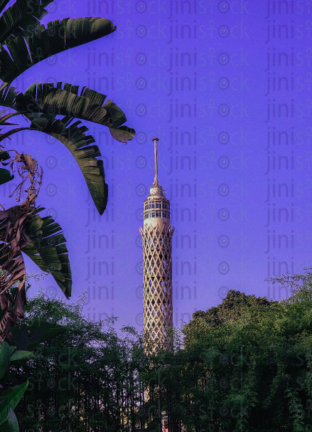 Cairo Tower from behind the trees - stock image