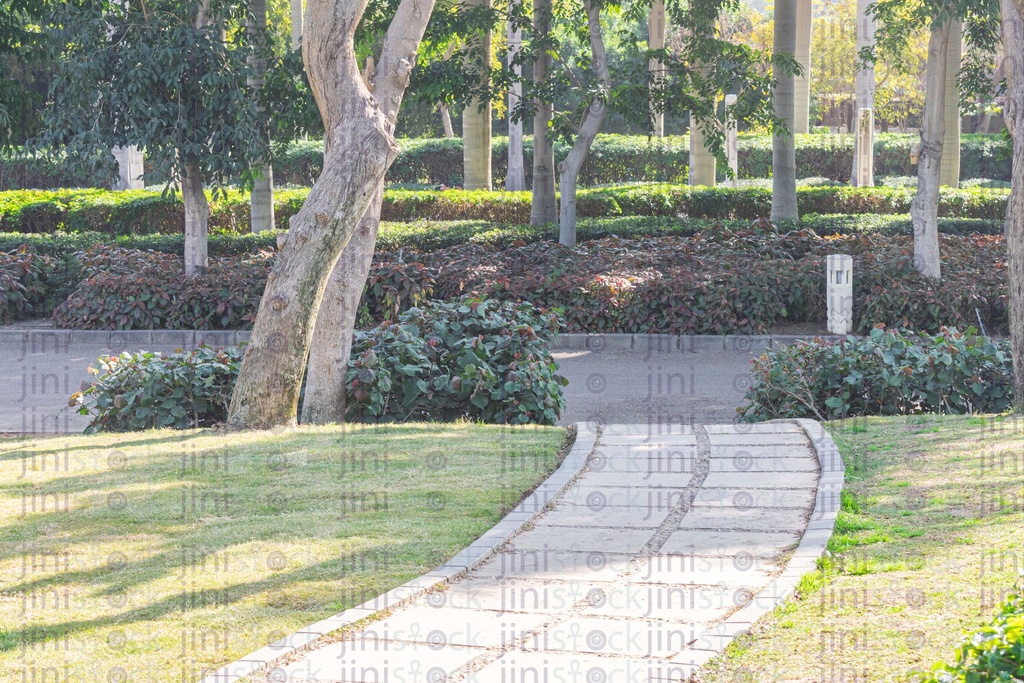 walkway in a garden in the morning