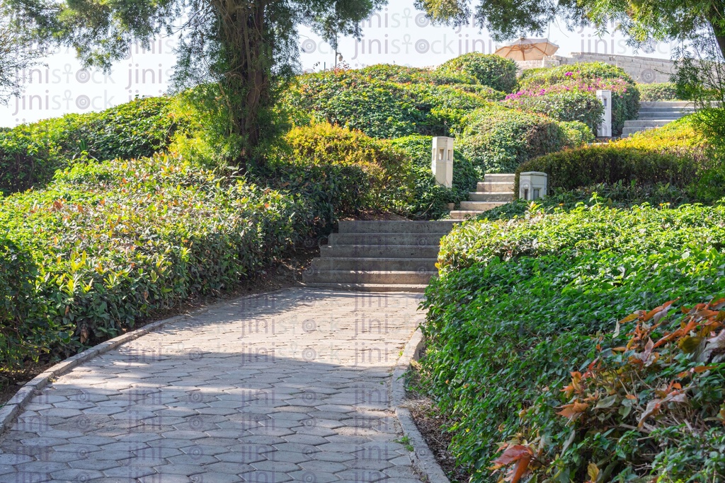 Walkway and bush. That is concrete pavement, floor, passage, path, footpath, pathway or passageway with nature for walking along and connecting different