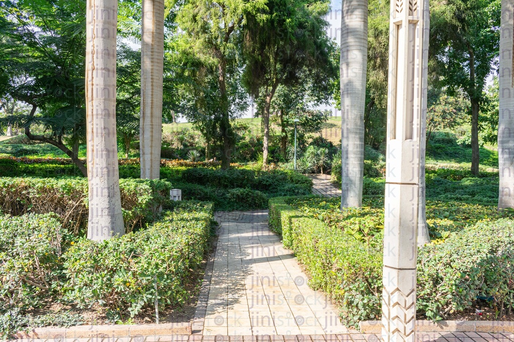 Walk way between the palm trees in Azhar park