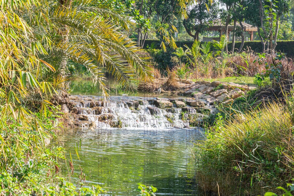 waterfall in the middle of green farm