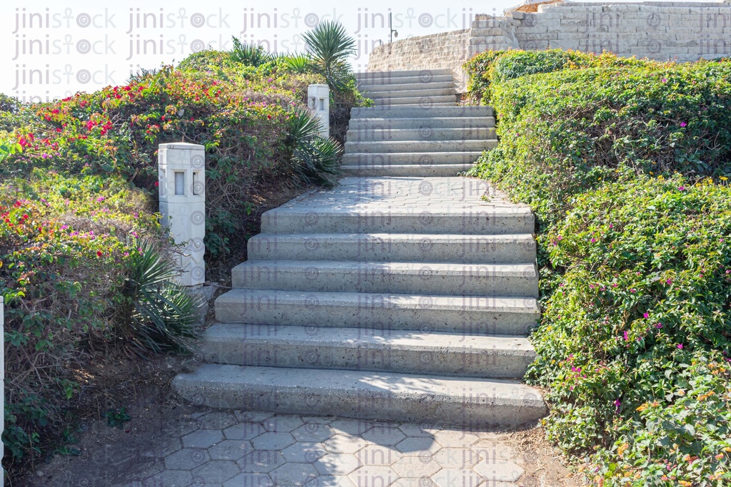 Close up on stairs in a garden