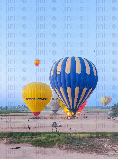 Air balloon in Luxor flying over a green field. farming lands