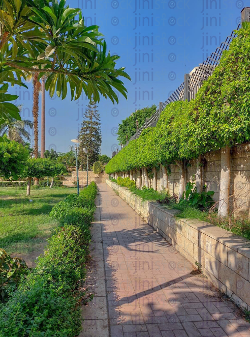 road in the garden entrance and a good nature view