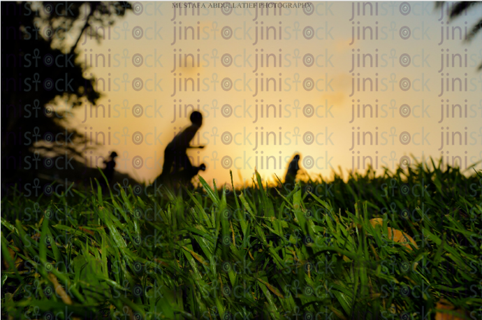 playing in a green field - stock image