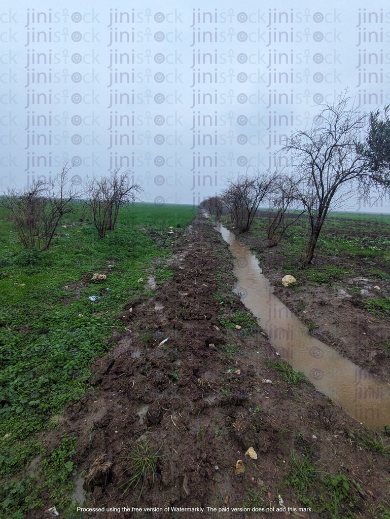 muddy road in a farm