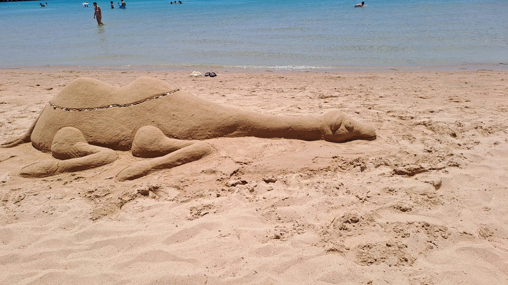 Carving on the sand for the shape of a camel on one of the beautiful Red Sea beaches in Egypt.