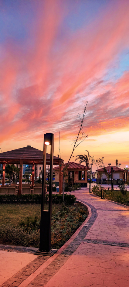 A Patio in a Garden during sunset  stock images