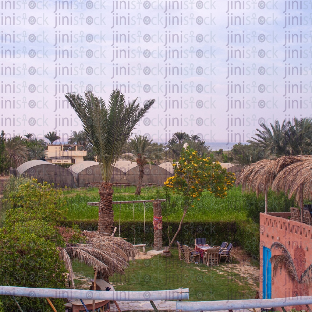 Landscape from Tunisia village in Fayoum Egypt ..  منظر طبيعى من قرية تونس بالفيوم