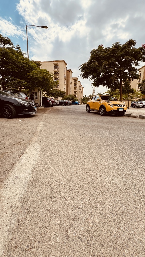 peaceful street scene in an urban neighborhood.