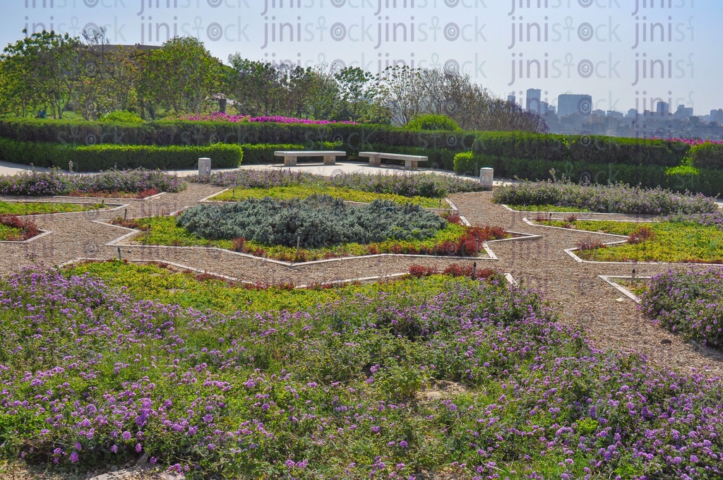 A wonderful garden has purple flowers, grasses, trees, benches, and paths to the benches in El Azhar Park.