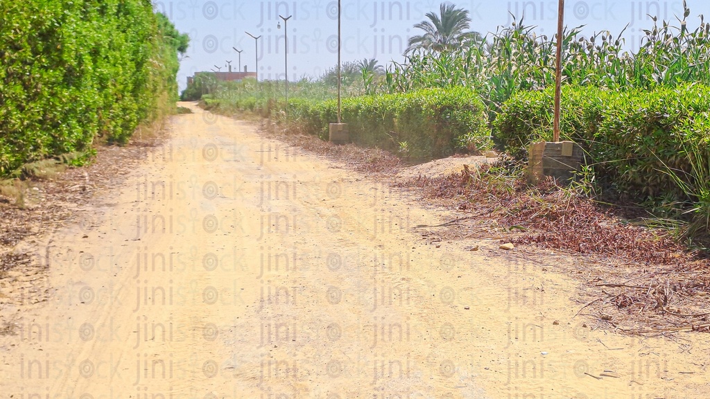 An empty way between farms in a village in Egypt