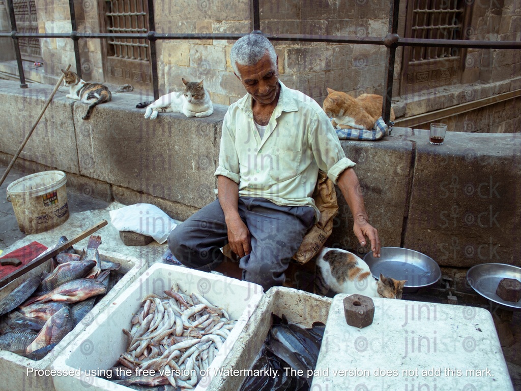 man selling fish