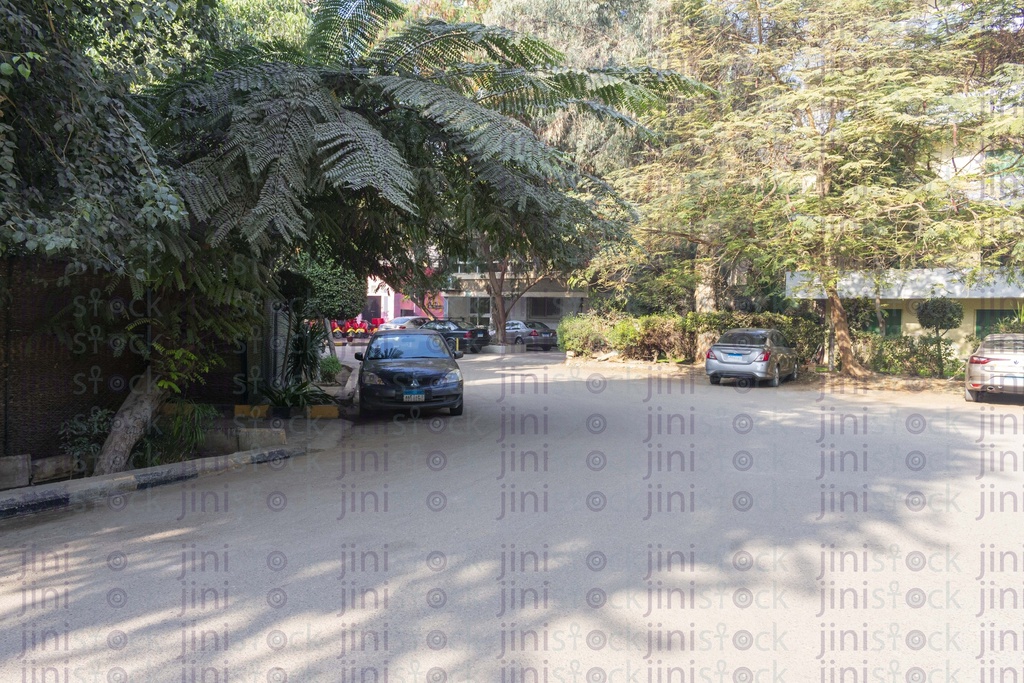 Maadi streets in the morning with trees on the roadside high-quality stock image