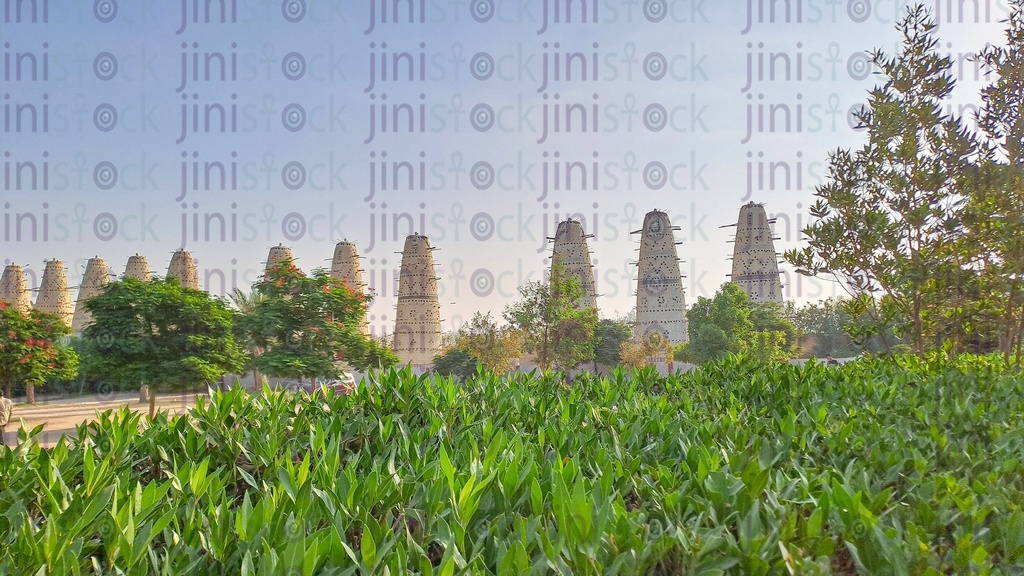 A Farm in the Egyptian countryside in Egypt.