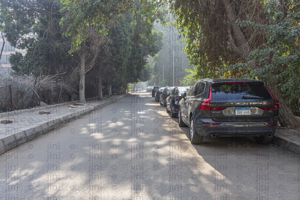 car parked on the side on the road