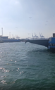 ferry entering portfouad harbour