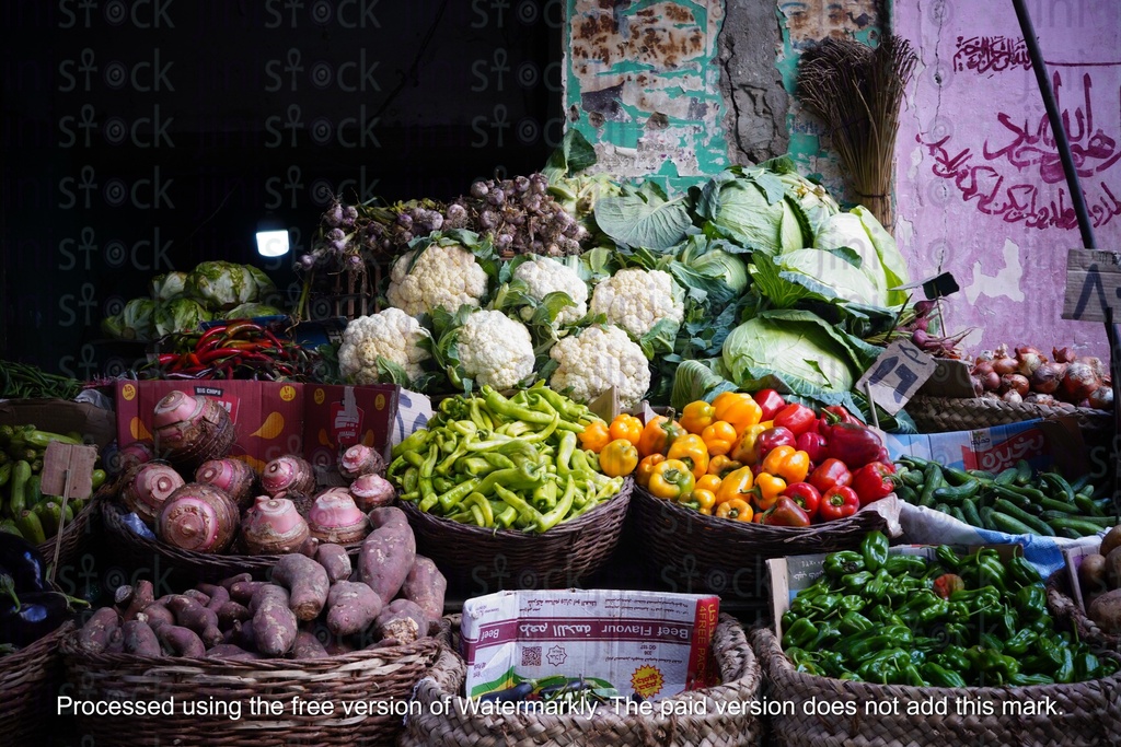 vegetables market in egypt