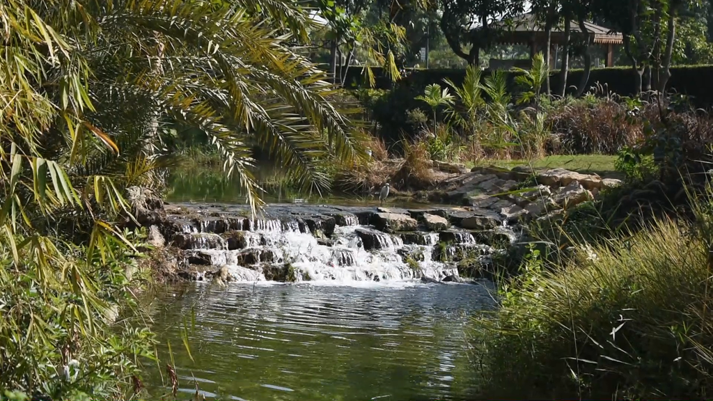 water fall in a river in a farm