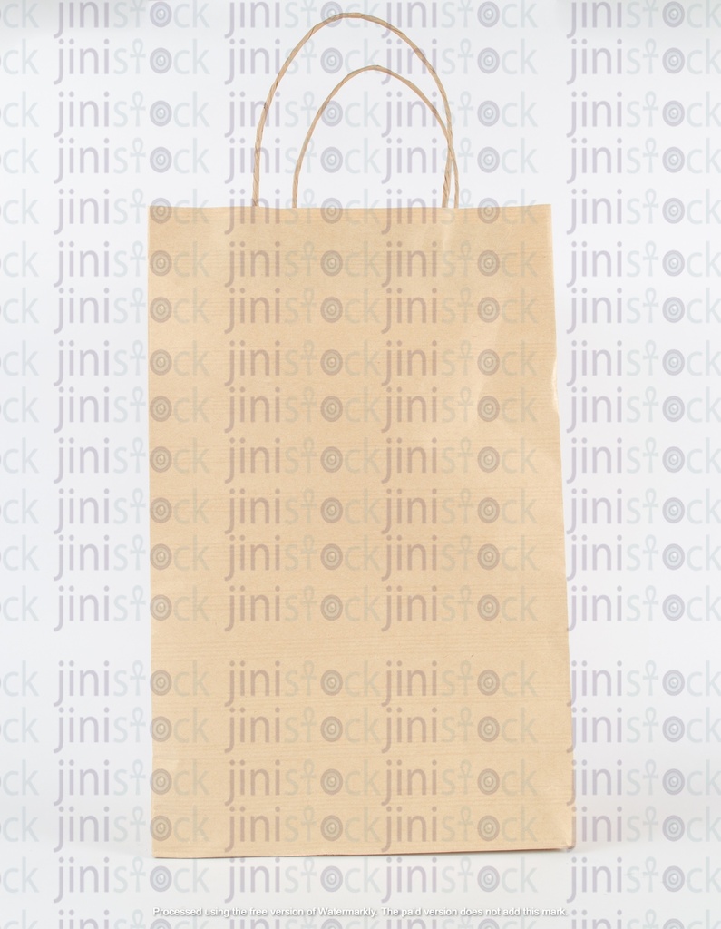 paper bag