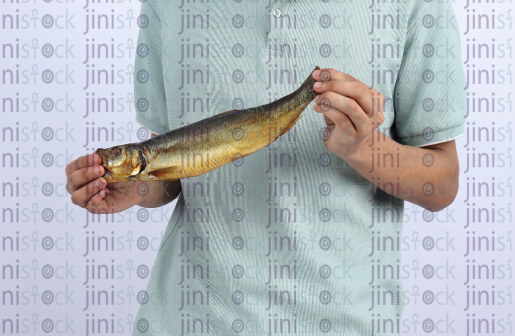 renga easter fish - stock image