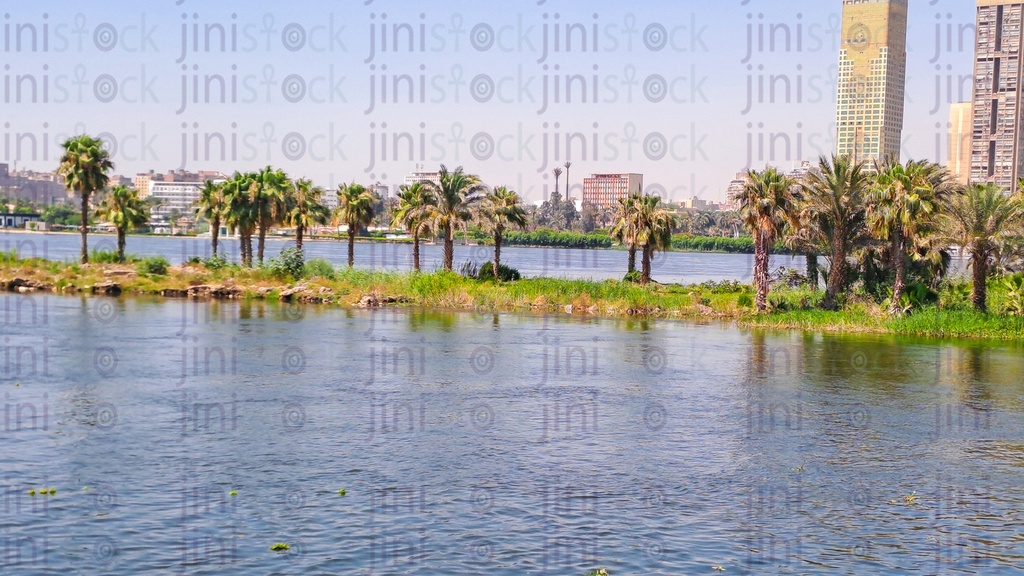 The Great Nile River, palm trees, and green grasses - Nile Corniche- Maadi Cornish