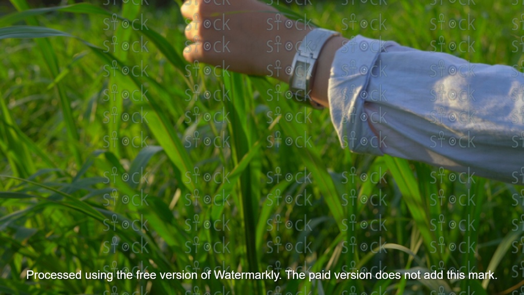 A rural trip among the farms