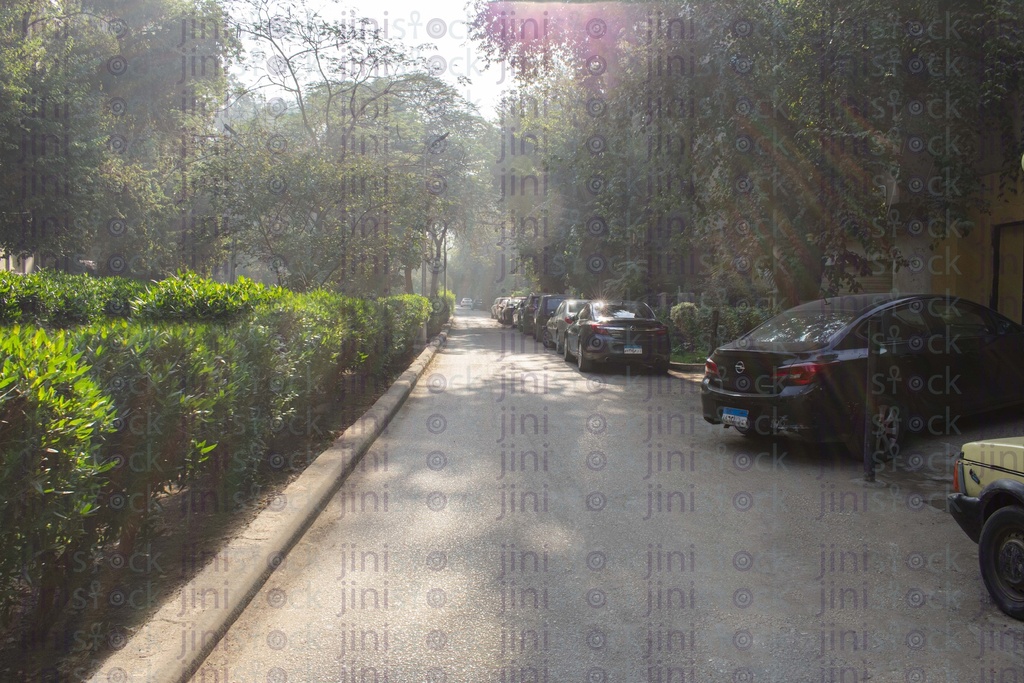 Maadi streets in summer