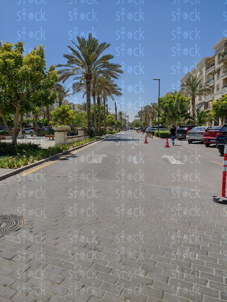 Open area with greenery