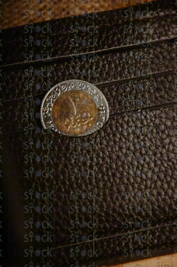 Coin in a wallet-Stock image