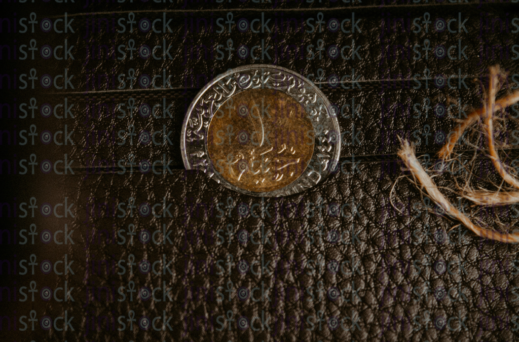 Egyptian coin in a wallet-stock image