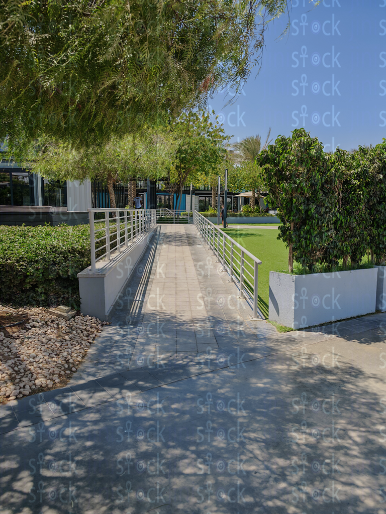 ممشى تصطفه أشجار