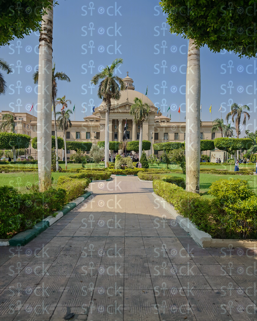  المدخل المميز لجامعة القاهرة وسط النخيل والاشجار