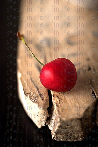 red cherry isolated - stock image