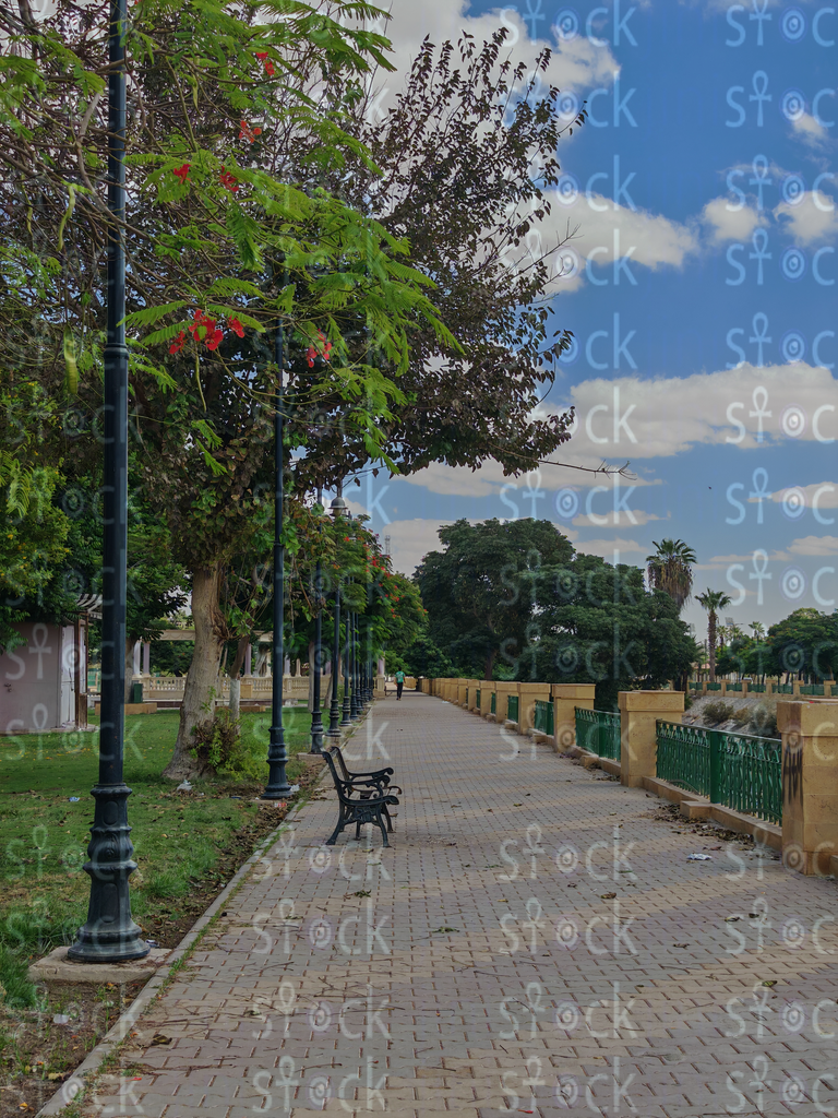 Pathway Surrounded by Greenery at Ismailia Corniche