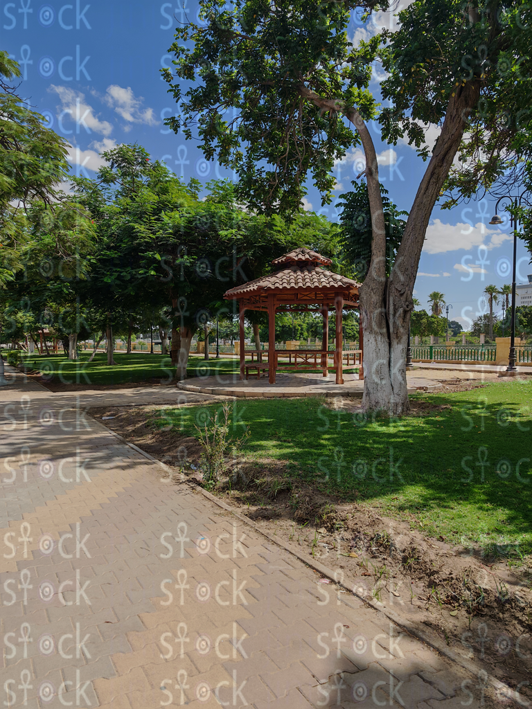 ظلال الأشجار الممتدة على كورنيش الإسماعيلية