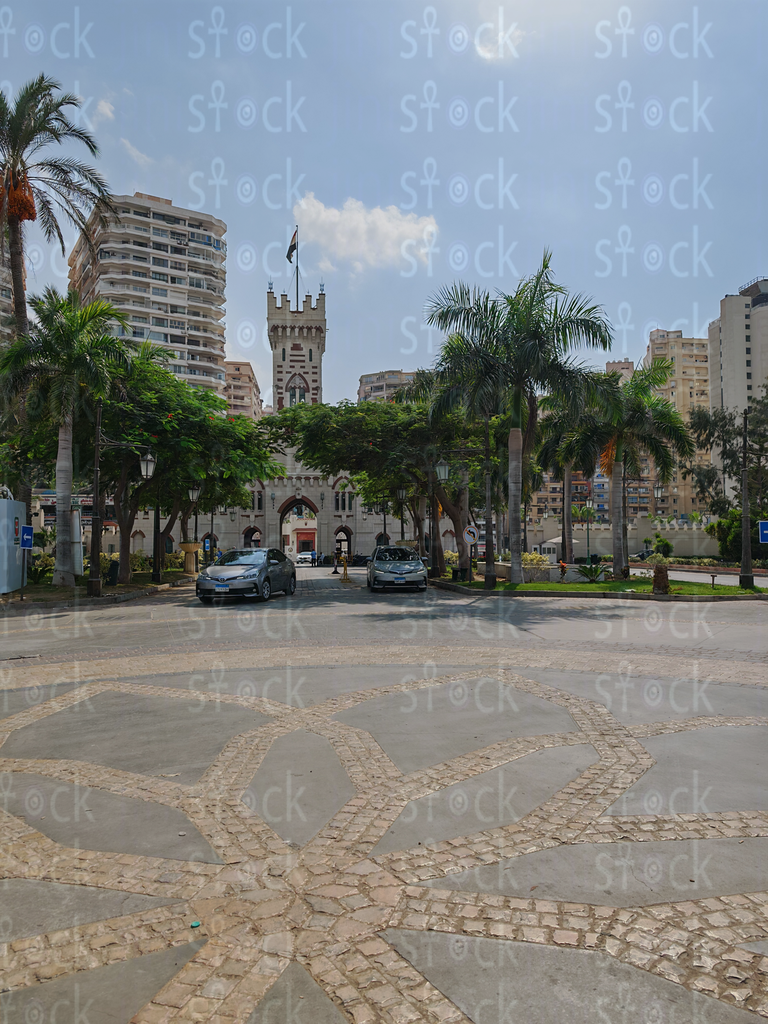 Royal Square with Palm Shadows – Montaza