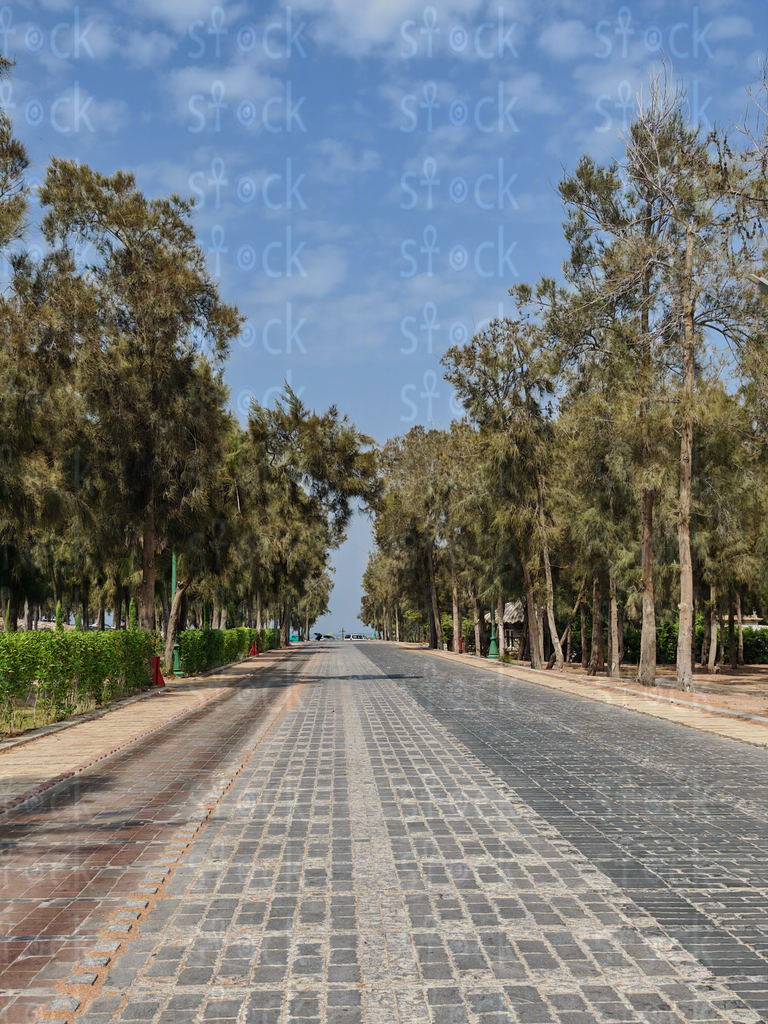 Symmetrical Road toward the Palace Towers 
