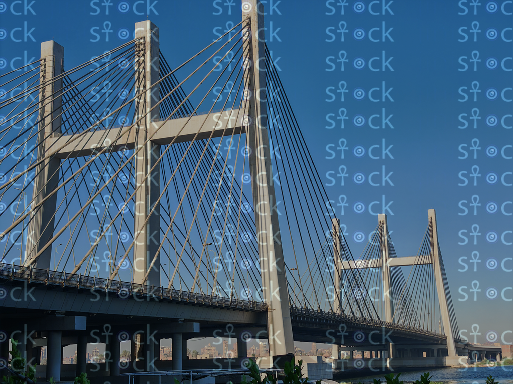 Elegant Cables of Tahya Misr Bridge 