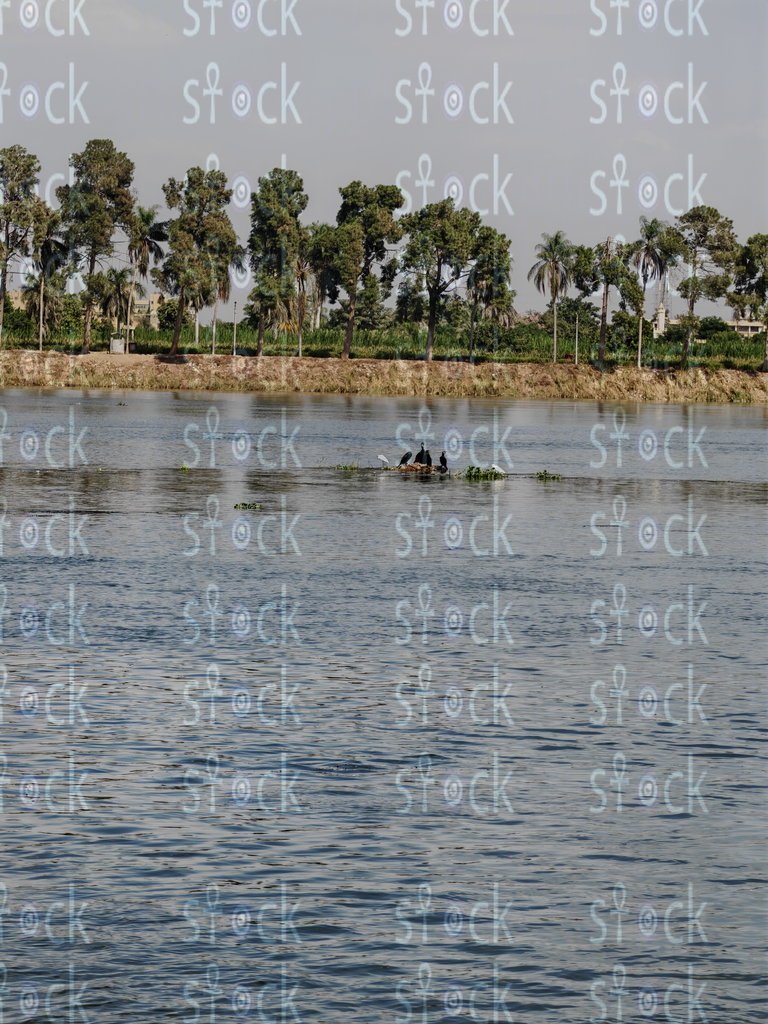 Nile’s Gentle Flow 