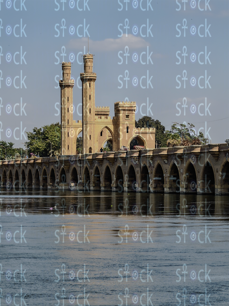  الحارس الصامت للنهر