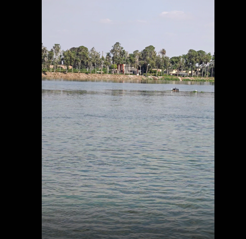 Natural areas in the Nile River, Egypt