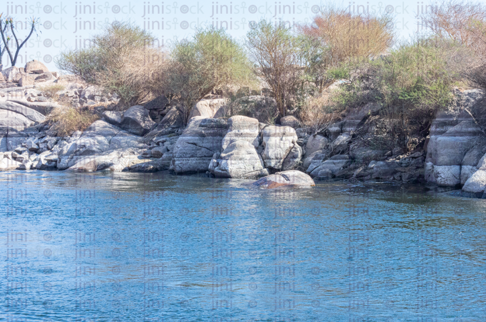 dry trees on a rocky island in the nile