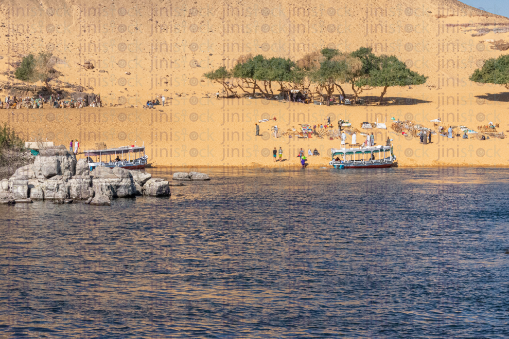 oasis in the nile banks