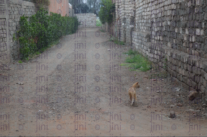 a road in a rural area - stock image