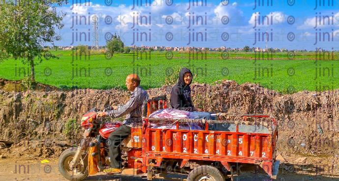 a stock image with high quality of a man driving a tricycle motorbike in farms