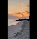 beach during the sunset